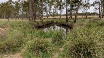 Farm Property for Sale - Thanes Creek QLD 4370