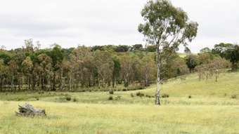 Farm Property for Sale - 1170 Dairyflat Road Heathcote South VIC 3523