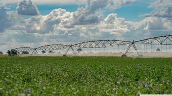 Farm Property for Sale - 130 McInnis Lane Gooloogong NSW 2805