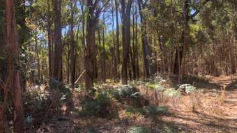 Farm Property for Sale - . Pozzi Road Dingup WA 6258