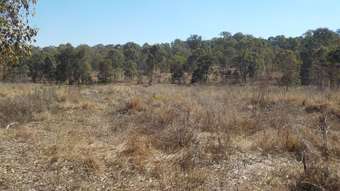 Farm Property for Sale - 431 Duckpond Rd Gin Gin QLD 4671