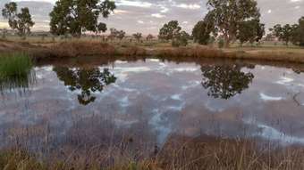 Farm Property for Sale - 14317 Golden Highway Dunedoo NSW 2844