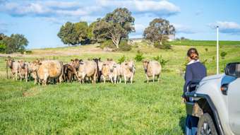 Farm Property for Sale -  Canowindra Road Cowra NSW 2794