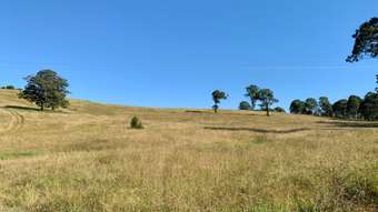 Farm Property for Sale - 234 Marshdale Road, Marshdale via Dungog NSW 2420