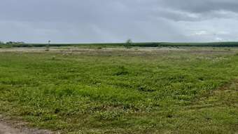 Farm Property for Sale - 33 Jack Road Brandon QLD 4808