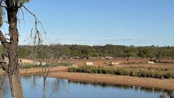 Farm Property for Sale -  Ben Lomond Road Gunderbooka NSW 2840