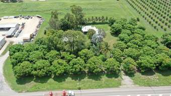 Farm Property for Sale - 19076 Bruce Highway Bowen QLD 4805