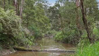 Farm Property for Sale - 1699 Carlisle River Road Carlisle River VIC 3239