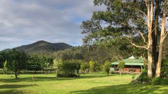 Farm Property for Sale - 1728 Mill Creek Road Wards River NSW 2422