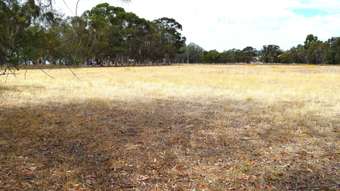 Farm Property for Sale - 1012 Urana Road Jindera NSW 2642