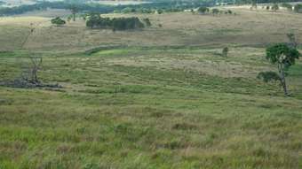 Farm Property for Sale - 789 Black Swamp Road Tenterfield NSW 2372