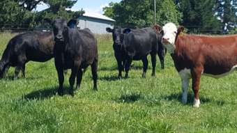 Farm Property for Sale - Crookwell NSW 2583