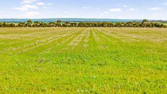 Farm Property for Sale - 432 Hendersons Road Meredith VIC 3333