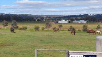 Farm Property for Sale - 148 PARTRIDGE ROAD Benger WA 6223