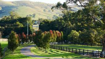 Farm Property for Sale - 564 Chichester Dam Road, Bendolba Via Dungog NSW 2420