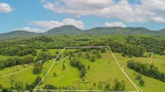 Farm Property for Sale - 1571 Rollands Plains Road Rollands Plains NSW 2441