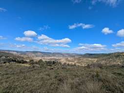 Farm Property for Sale - Lot 1 East Egypt Road Egypt QLD 4344