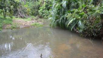 Farm Property for Sale - Lot 161 Fraser Road Millaa Millaa QLD 4886