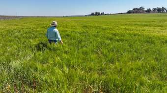 Farm Property for Sale -  Garthe Road Aubigny QLD 4401