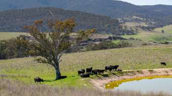 Farm Property for Sale - 1335 Tarana Road, Wambool VIA Bathurst NSW 2795