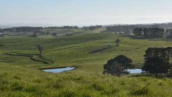 Farm Property for Sale - 135 Bundaleer Road Newbridge NSW 2795