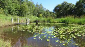 Farm Property for Sale - 311 SUNDOWNER ROAD Millbank NSW 2440