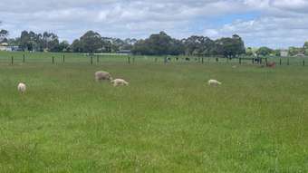 Farm Property for Sale - 174 Noogee Lane Terang VIC 3264