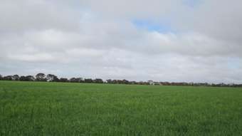 Farm Property for Sale - . Wooroonga Newdegate WA 6355