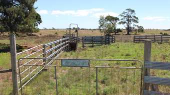 Farm Property for Sale - 60 Lawlors Road Dreeite South VIC 3249