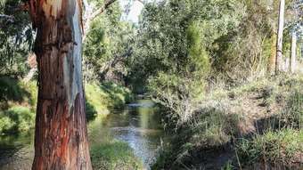 Farm Property for Sale -  Silks Access Road Carlisle River VIC 3239