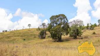 Farm Property for Sale - 280 HOCHMUTHS ROAD Cattle Creek QLD 4626