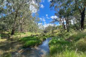 197 Argyle Road Mudgee NSW 2850