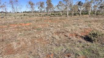 Farm Property for Sale - 261 Stuart Drive Curlew Waters NSW 2672