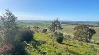 Farm Property for Sale - 1741 Three Chain Road Cambrai SA 5353