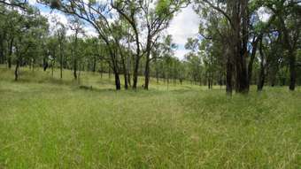 Farm Property for Sale - 450 Lawsons Broad Road, Coverty Wondai QLD 4606