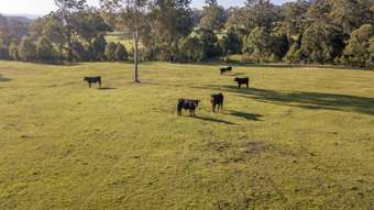 Farm Property for Sale - 92 Punchs Road Clarence Town NSW 2321