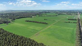 Farm Property for Sale - 240 Swan Marsh Road Pirron Yallock VIC 3249