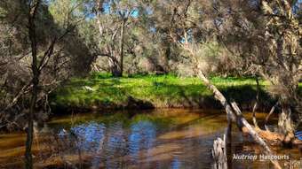 Farm Property for Sale - 638 Chitna Road Neergabby WA 6503