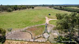 Farm Property for Sale - 897 Brand Highway Muchea WA 6501