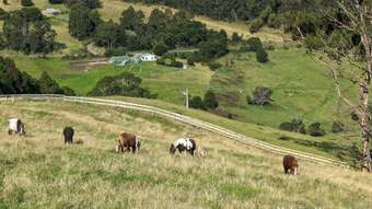 Farm Property for Sale - 482 Old Whitelaws Track Devon North VIC 3971