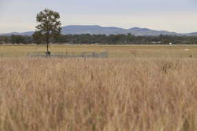 Roma QLD 4455