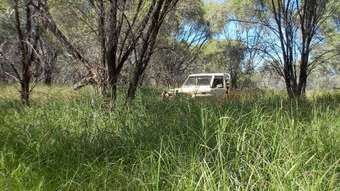 Farm Property for Sale - Pingandy Station via Meekatharra Meekatharra WA 6642