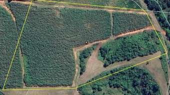 Farm Property for Sale - 36 Bonso Access Drive East Russell QLD 4861