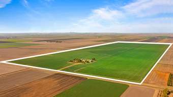 Farm Property for Sale - 1151 Jondaryan Saint Ruth Road Formartin QLD 4404