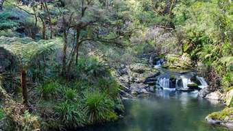 Farm Property for Sale - Yarrowitch NSW 2354