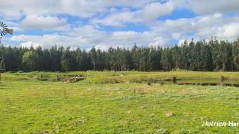 Farm Property for Sale - 118 Townshend Road Narrikup WA 6326