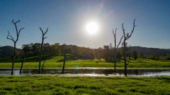 Farm Property for Sale - "Oliv Obi Obi Road Kenilworth QLD 4574