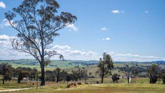 Farm Property for Sale - 1703 Mutton Falls Road O&Amp;Apos;Connell NSW 2795