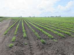 Farm Property for Sale - 327 Moore Park Road Moore Park Beach QLD 4670