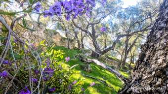 Lot 51 Millbank Road Cowalla WA 6503